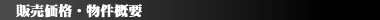 ̔iE
